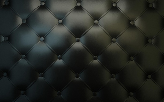 Black tufted leather upholstery