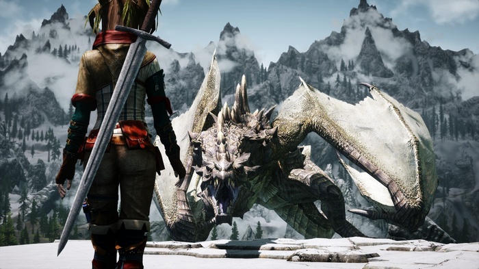 The Elder Scrolls V: Skyrim Dragon and Dragonborn