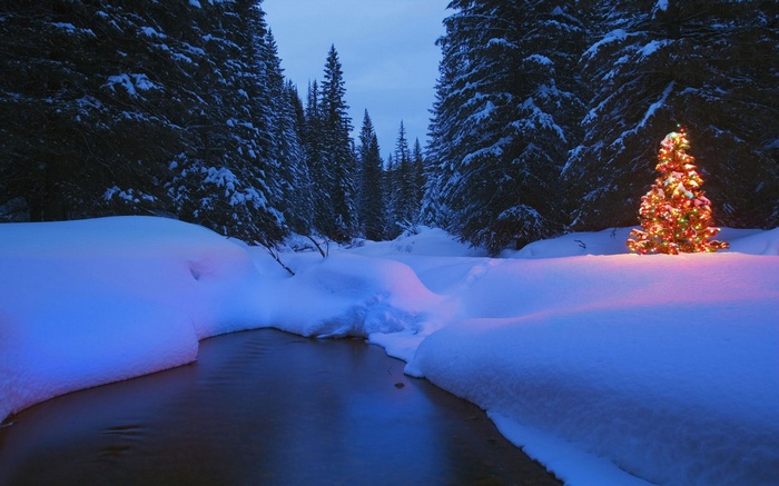 Christmas tree in a snowy forest by a river at night