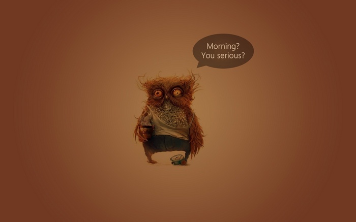Tired owl with coffee and alarm clock