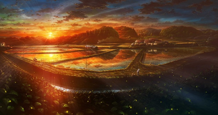 Anime landscape with rice fields at sunset
