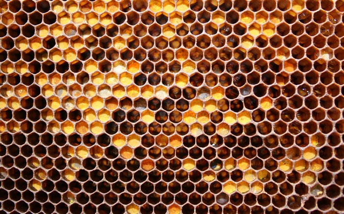 Honeycomb pattern with hexagonal cells