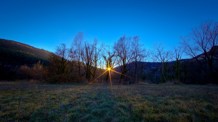 Sunlight shining through trees in a grassy field at sunset