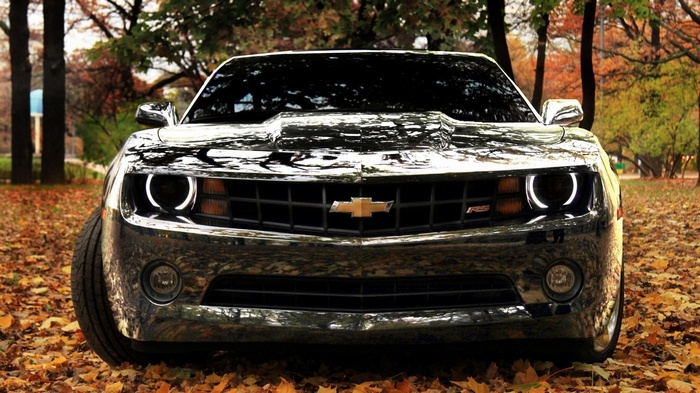 Black Chevrolet Camaro RS parked on fallen leaves