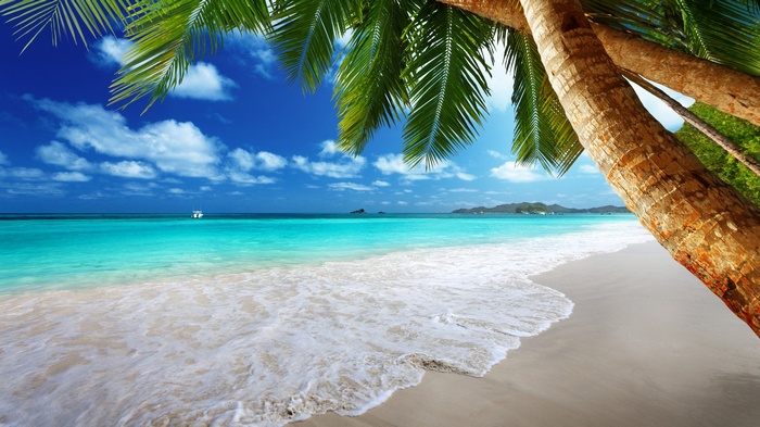 Tropical beach with palm trees and turquoise sea