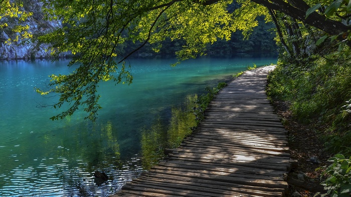 water, lake, trees, ripples, landscape, walkway, nature