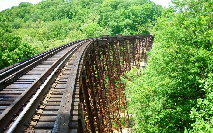 Abandoned railway bridge surrounded by lush green trees