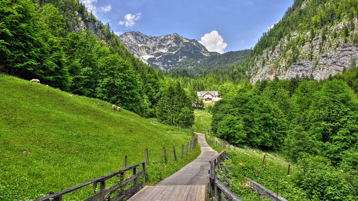 nature, landscape, mountains, trees