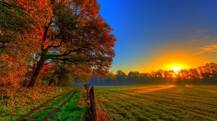 Autumn sunset over a misty field with trees