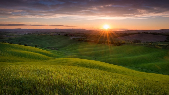 Rolling green hills at sunset with sun rays