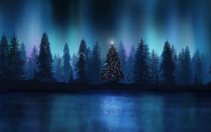 Christmas Tree in Forest Under Aurora Borealis