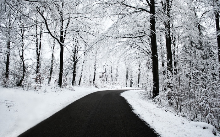 A snowy road winds through a winter forest