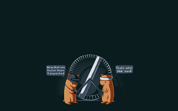 Hamsters in a gym with a speed gauge