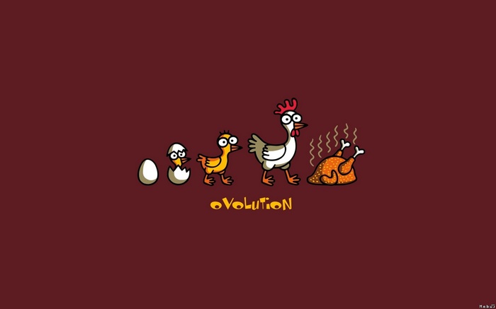 Chicken evolution from egg to roasted turkey