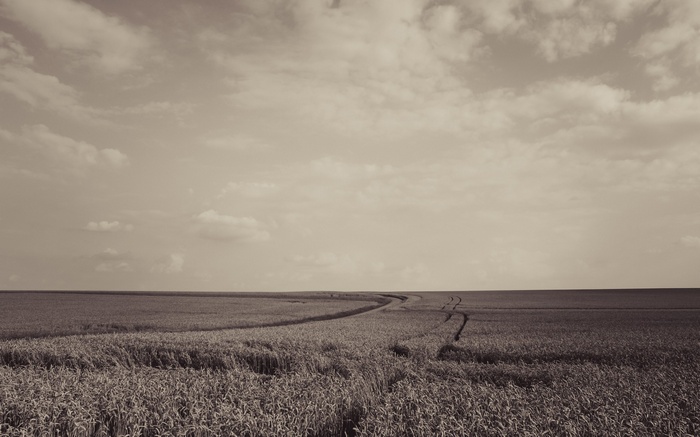 Sepia landscape of a field with a path