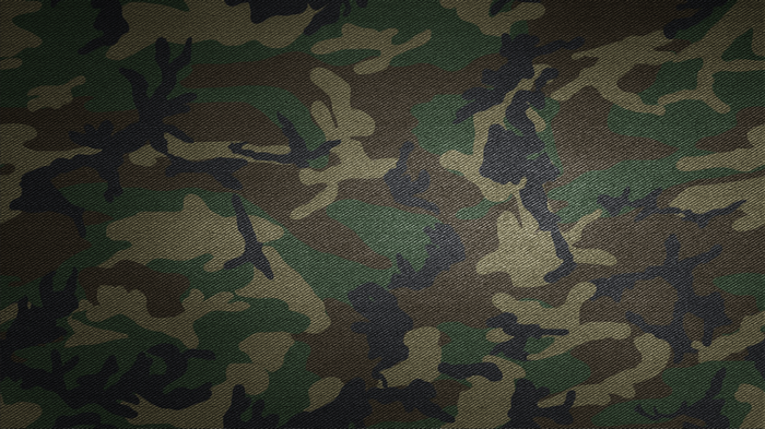 Camouflage pattern on fabric