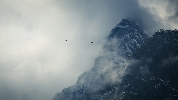 Birds flying near misty mountains
