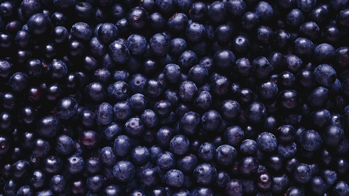 Close-up of fresh blueberries