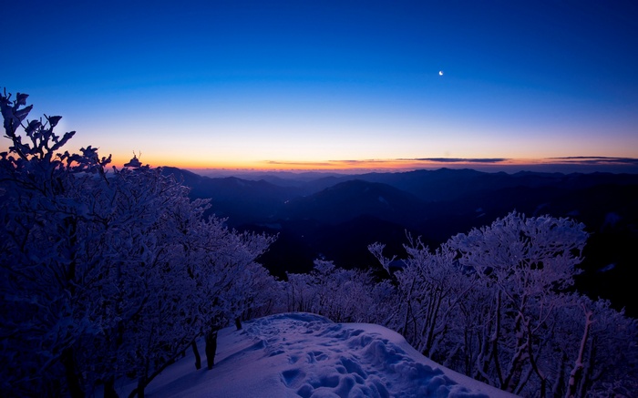 Snow-covered trees at sunset over mountains