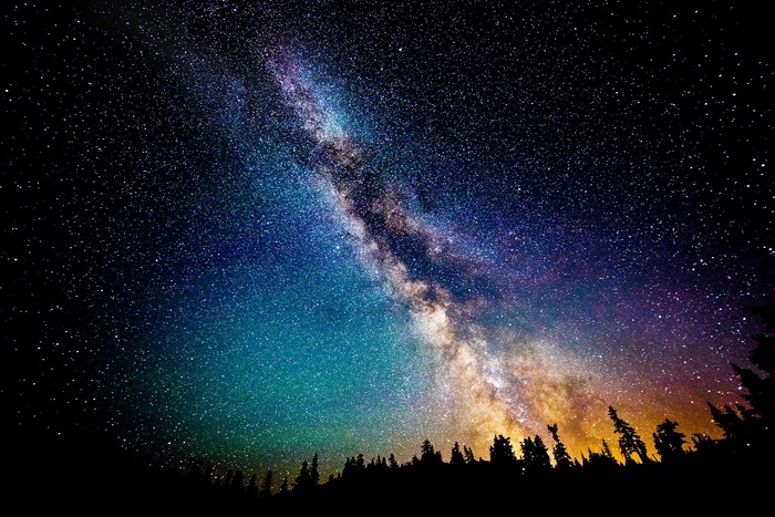 The Milky Way galaxy over a silhouetted forest