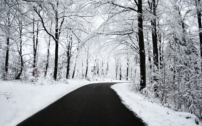 A winding road through a snow-covered forest