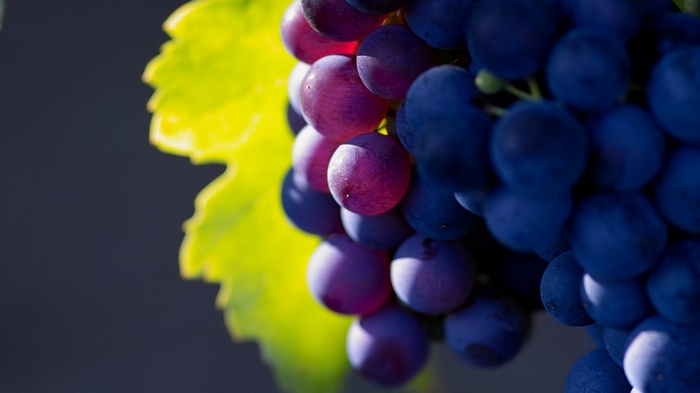 Close-up of purple and blue grapes with a green leaf