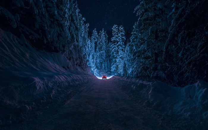Car driving on a snowy road through a forest at night
