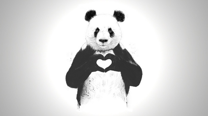 Panda making a heart shape with its hands