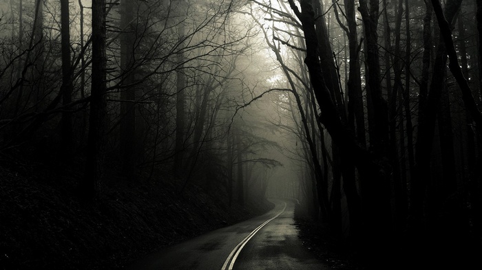 A dark, foggy road winding through a forest