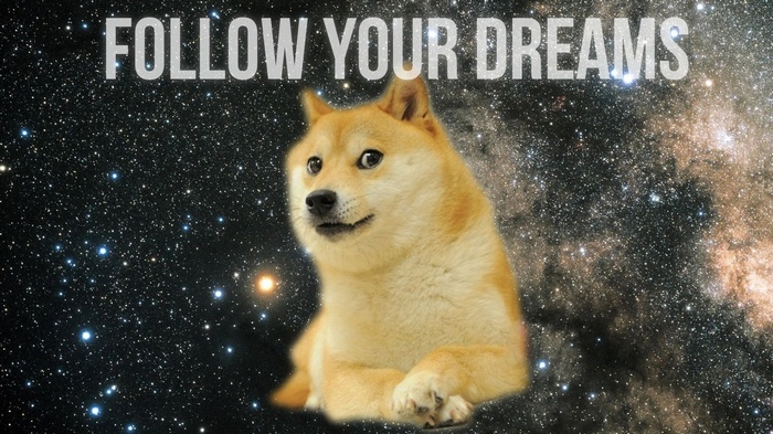 Doge in Space with "Follow Your Dreams" Text
