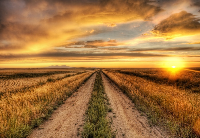 Dirt road through a field at sunset