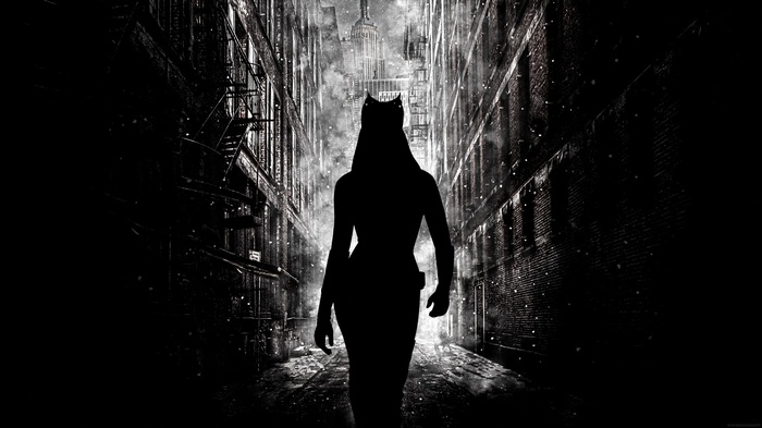 Catwoman silhouette in Gotham City alley