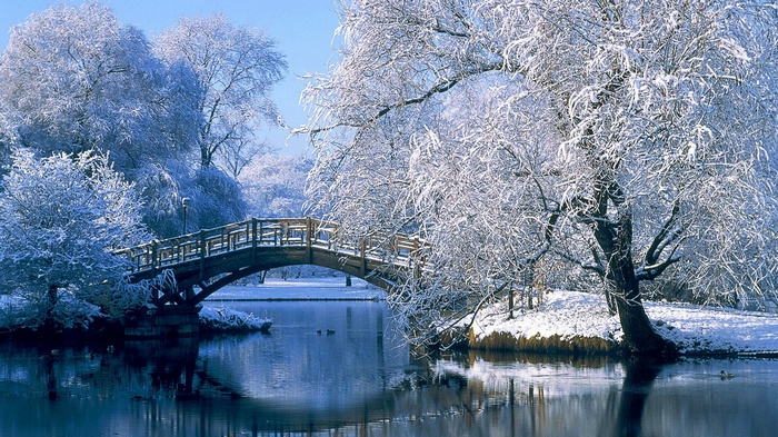 Snow-covered bridge over a calm lake in winter