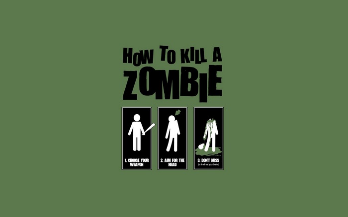 How to Kill a Zombie instructions