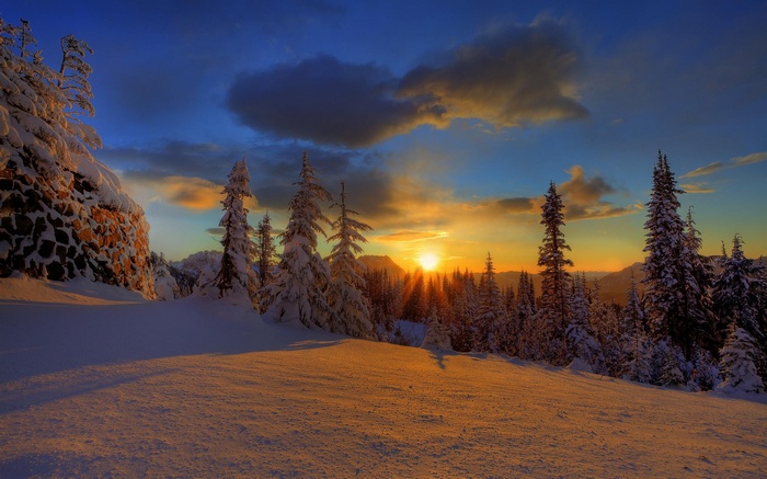Winter sunset over snow-covered trees and rocky cliff