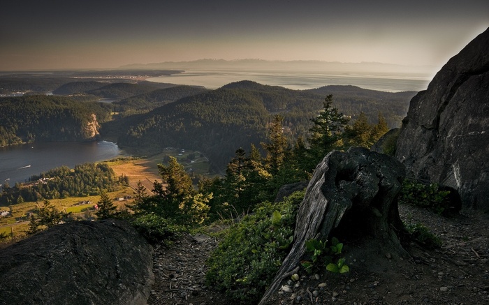 View from a rocky peak overlooking a forested bay