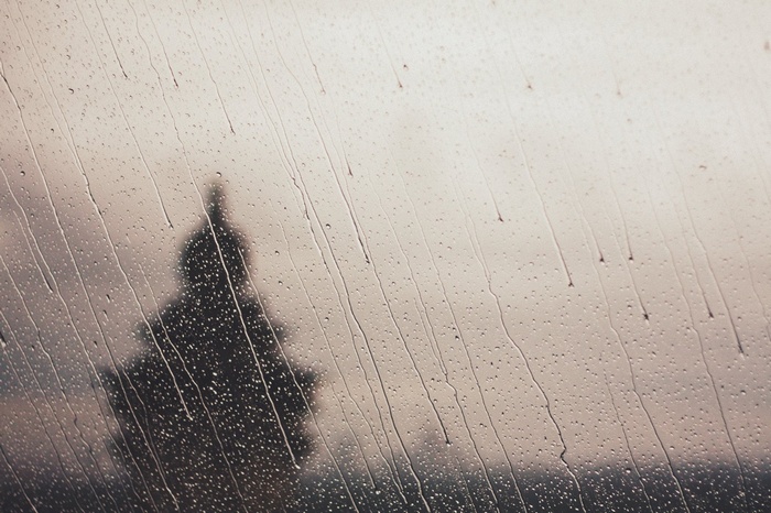 Raindrops on glass with a tree silhouette