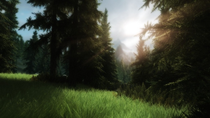 The Elder Scrolls V: Skyrim ENB forest landscape