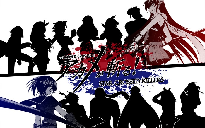 Akame ga Kill! Star-Crossed Killers Anime Characters Silhouette