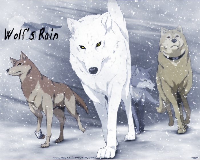 Wolf's Rain Anime Wolves in Snow