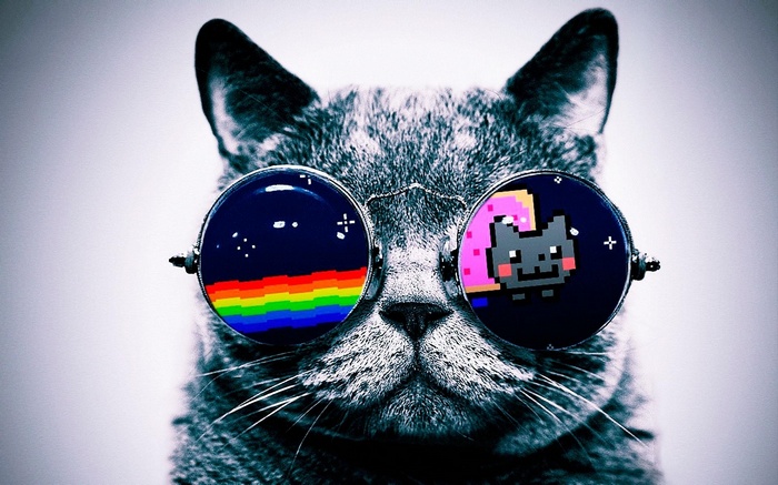 Nyan Cat Animals Cat Digital Art Glasses