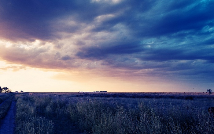 Stormy sky over a grassy field with a dirt road