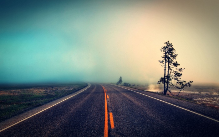 A foggy road through a misty landscape