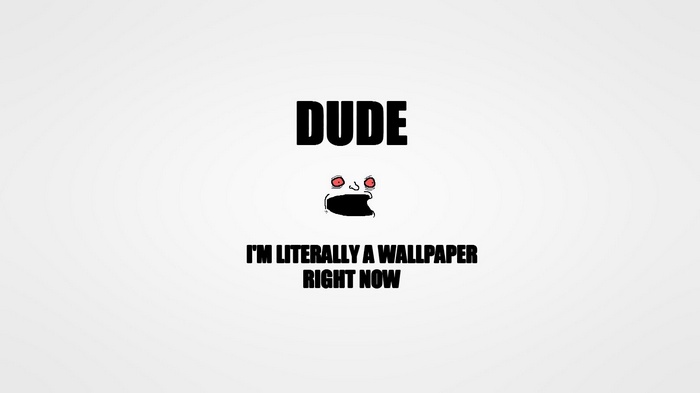 Dude I'm Literally a Wallpaper Right Now Meme