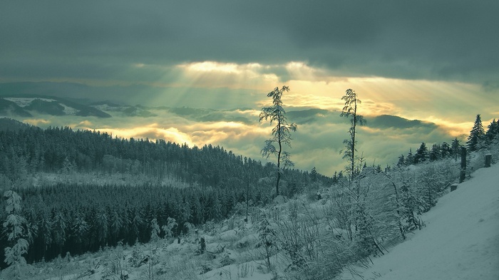 Sunbeams pierce through clouds over a snowy mountain forest