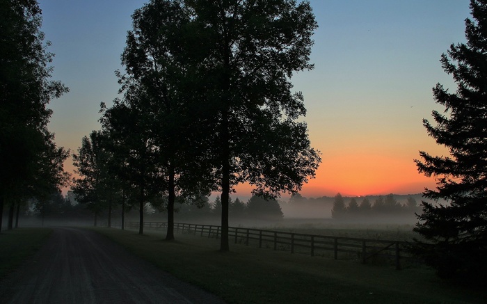 Misty sunrise over a rural landscape with trees and a fence