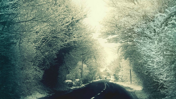 Snow-covered trees line a winding road in winter