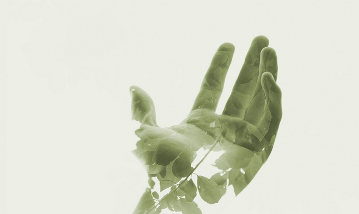 Double exposure of a hand and green leaves