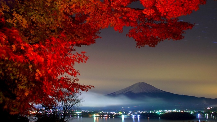 nature