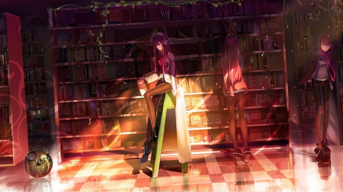 Makise Kurisu and friends in a library